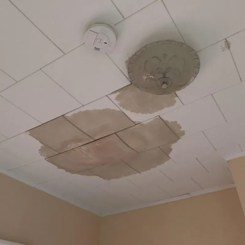 Ceiling Water Damage Repair in Columbus, IN