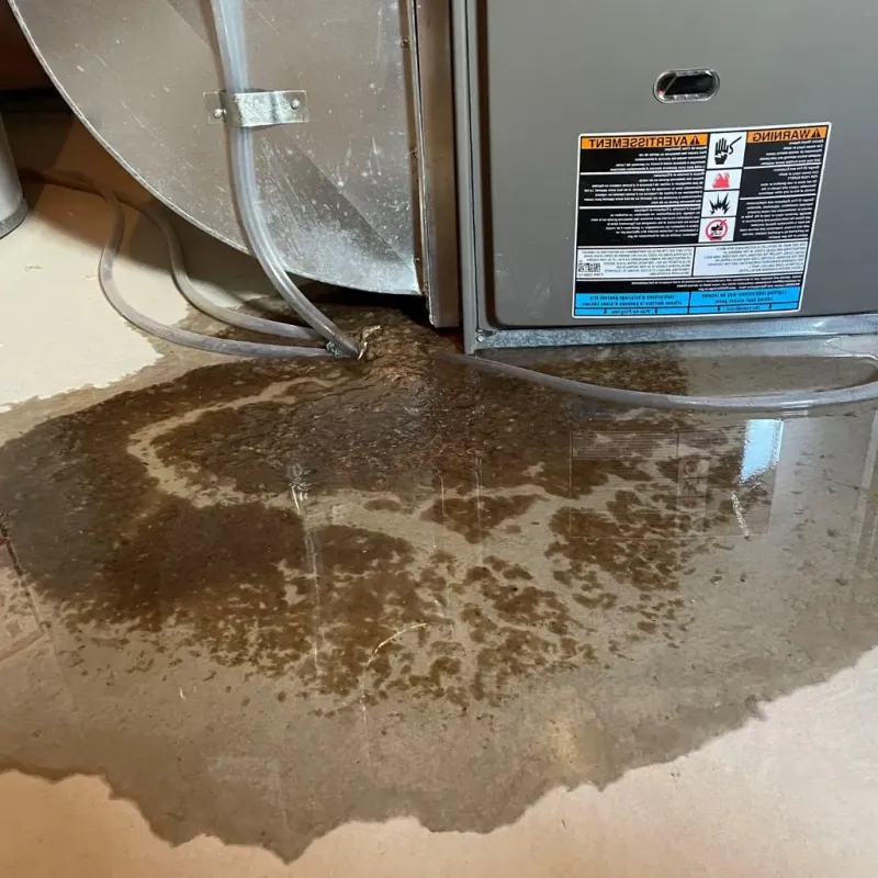 Pipe Burst and Leak Restoration in Columbus, IN