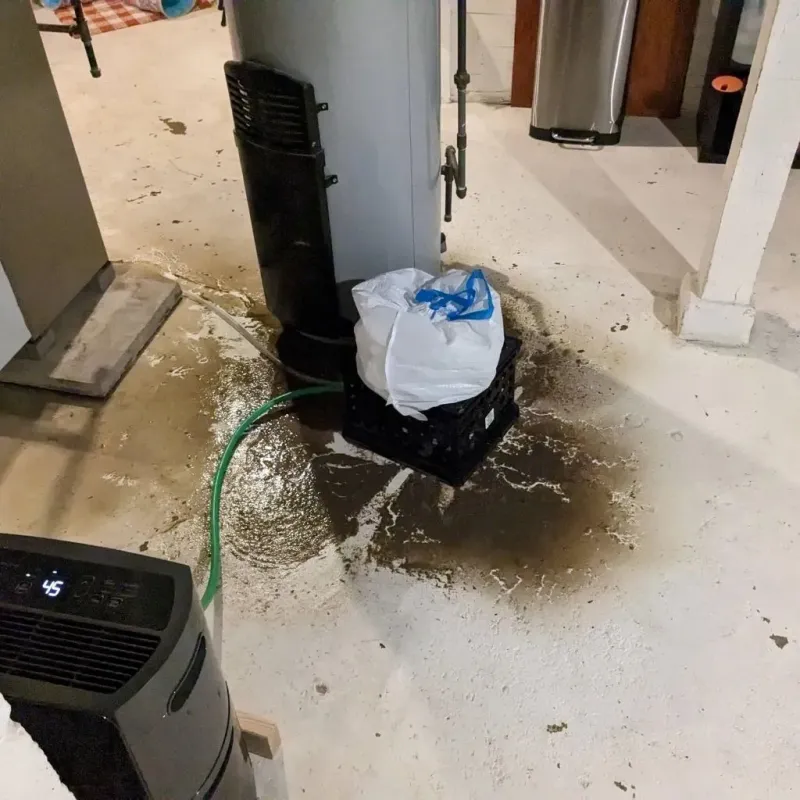 Sewage Backup Cleanup Service in Columbus, IN